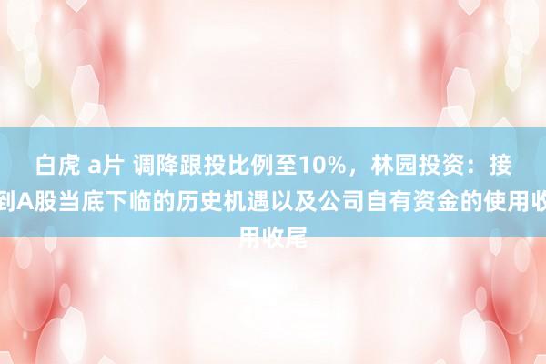 白虎 a片 调降跟投比例至10%，林园投资：接头到A股当底下临的历史机遇以及公司自有资金的使用收尾