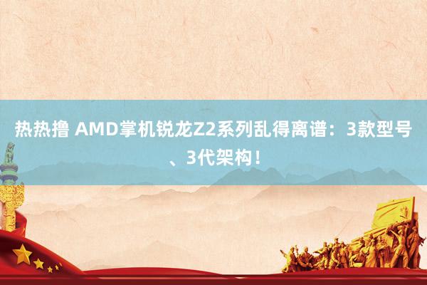 热热撸 AMD掌机锐龙Z2系列乱得离谱：3款型号、3代架构！