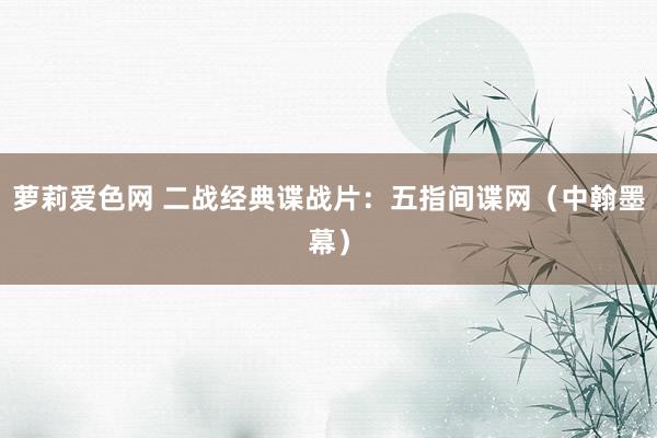 萝莉爱色网 二战经典谍战片：五指间谍网（中翰墨幕）