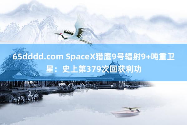 65dddd.com SpaceX猎鹰9号辐射9+吨重卫星：史上第379次回获利功