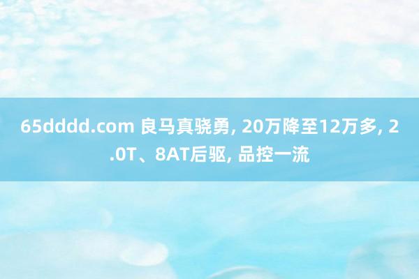 65dddd.com 良马真骁勇， 20万降至12万多， 2.0T、8AT后驱， 品控一流