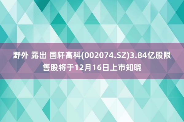 野外 露出 国轩高科(002074.SZ)3.84亿股限售股将于12月16日上市知晓