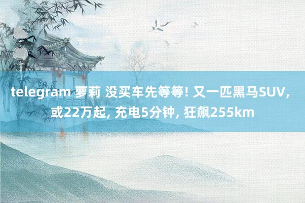 telegram 萝莉 没买车先等等! 又一匹黑马SUV， 或22万起， 充电5分钟， 狂飙255km