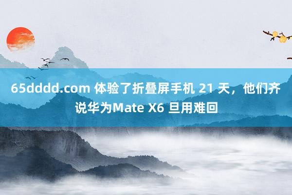 65dddd.com 体验了折叠屏手机 21 天，他们齐说华为Mate X6 旦用难回