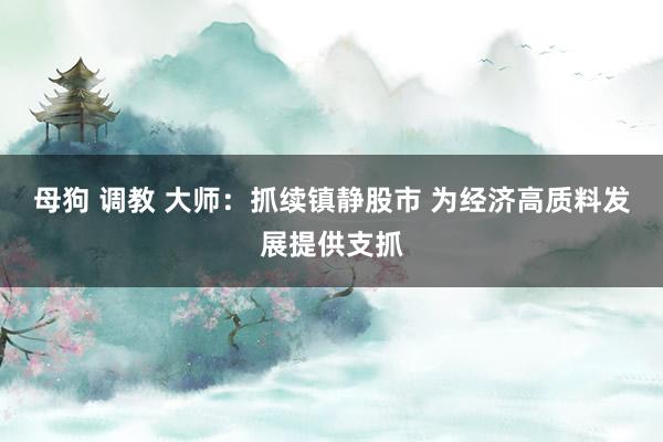 母狗 调教 大师：抓续镇静股市 为经济高质料发展提供支抓